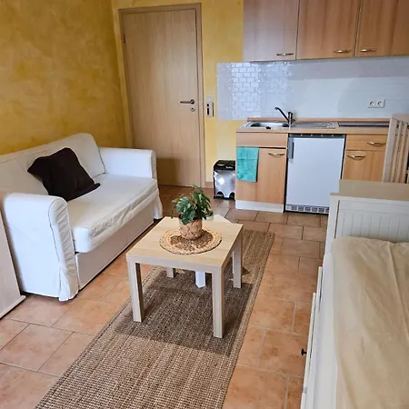 Apartment Studiowohnung Zentral In 1-2 Personen Geisenheim