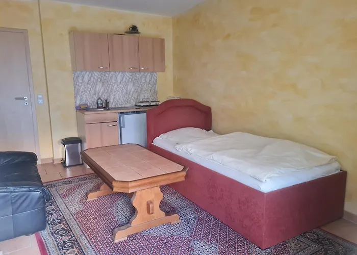 Studiowohnung Zentral In 1-2 Personen アパート ガイゼンハイム